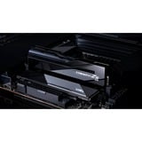 G.Skill 48 Go DDR5-8200 (2x 24 Go) mémoire vive Noir, F5-8200C4052G24GX2-TZ5CK, CUDIMM, XMP 3.0