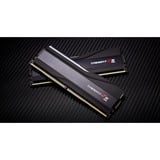 G.Skill F5-6000J3444F64GX2-TZ5RK, Mémoire vive Noir