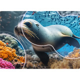 LG 75NU800B6LA.AEEQ 75" 4K Ultra HD TV LED Noir