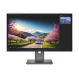 Lenovo ThinkVision P32UD-40 31.5" 4K Ultra HD Moniteur Noir, 1x DisplayPort, 1x HDMI, 1x USB-C, 4x USB-A, 2x Thunderbolt, 1x RJ-45, 120 Hz, 80 cm (31.5"), 3840 x 2160 pixels, 4K Ultra HD, LCD, 6 ms, Noir