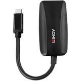 Lindy Convertisseur USB Type C vers DisplayPort 8K60 Noir, 0,13 m, USB Type-C, DisplayPort, Mâle, Femelle, Droit