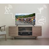 Medion LIFE MD 840003 avec lecteur DVD 40" TV LED Noir