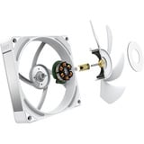 NZXT Performance Fan F120X, Ventilateur de boîtier Blanc