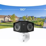 Reolink Duo Series P750-AVS, Caméra de surveillance Blanc/Noir