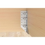 fischer PowerFast II 10,0x100 6kant TX blvz, 566377, Vis 