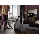 AEG ANIMAL 8000 AB81A2DG, Aspirateur Gris