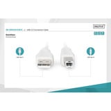 Digitus Câble de connexion USB 2.0 USB-A (connecteur) > USB-B (connecteur) Beige