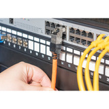 Digitus Connecteur de terrain CAT.6a coudé, STP avec capuchon anti-poussière, Prise de courant Argent