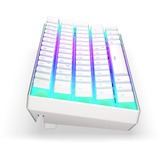 ENDORFY clavier gaming Blanc, Layout DE, Kailh Box Red