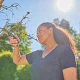 GARDENA Sécateur PremiumCut - Bois sec Gris/Turquoise