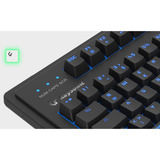 KeySonic KSK-8202ELU-T (DE) clavier Universel USB Allemand Noir Noir, Layout DE, Taille réelle (100 %), Avec fil, USB, Clavier mécanique, Noir