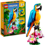 LEGO Pack Animaux Sauvages Creator, Jouets de construction 