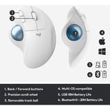 Logitech ERGO M575 for Business souris Droitier RF sans fil + Bluetooth Trackball 2000 DPI Gris clair/Bleu, Droitier, Trackball, RF sans fil + Bluetooth, 2000 DPI, Blanc