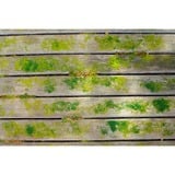 Ryobi Nettoyeur de surface sans fil 18Volt, Nettoyant pour sols dur Vert/Noir