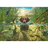 Schmidt Spiele Mark Fredrickson : Amour des chiens - labrador brun dans l'eau fraîche, Puzzle 