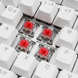 Sharkoon SKILLER SGK25, clavier gaming Blanc, Layout DE, Huano Red