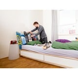 Bosch 06039A800S 215 tr/min Multicolore, Tournevis Vert/Noir, Multicolore, 215 tr/min, 4,5 N·m, 5 mm, Batterie, 3,6 V