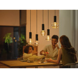 Philips Hue 929003151202, Lampe à LED 