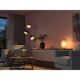 Philips Hue 929003573701, Lampe à LED 