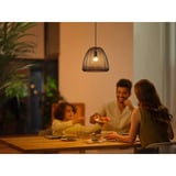 Philips Hue White Ambiance E14 - Lampe Intelligente Forme Goutte - 470, Lampe à LED 