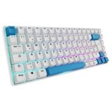 Sharkoon SKILLER SGK50 S3 PBT, clavier gaming Blanc/Bleu clair, Layout DE, Gateron G Pro 3.0 Yellow