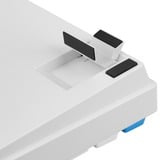 Sharkoon SKILLER SGK50 S3 PBT, clavier gaming Blanc/Bleu clair, Layout DE, Gateron G Pro 3.0 Yellow