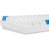 Sharkoon clavier gaming Blanc/Bleu clair, Layout DE, Gateron G Pro 3.0 Yellow