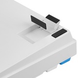 Sharkoon clavier gaming Blanc/Bleu clair, Layout DE, Gateron G Pro 3.0 Yellow