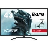 iiyama G-Master Red Eagle G4380UHSU-B1 43" 4K UHD Moniteur gaming  Noir, 4K, 144Hz, HDMI, DisplayPort, USB, Audio, FreeSync
