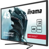 iiyama G-Master Red Eagle G4380UHSU-B1 43" 4K UHD Moniteur gaming  Noir, 4K, 144Hz, HDMI, DisplayPort, USB, Audio, FreeSync