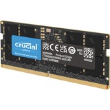 Crucial CT64G56C46U5, Mémoire vive 