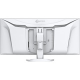 EIZO  37.5" Moniteur incurvé  Blanc