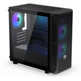 ENDORFY Signum M30 ARGB boîtier mini tower Noir | 2x USB-A | 1x USB-C | RGB | Verre Trempé