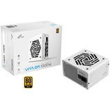 FSP FSP VITA GM Blanc alimentation  modulaire 1000 watt Blanc, 4x PCIe