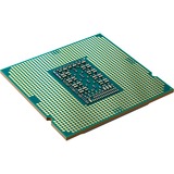 Intel® Core i5-11600 processeur 2,8 GHz 12 Mo Smart Cache socket 1200 processeur Intel® Core™ i5, LGA 1200 (Socket H5), 14 nm, Intel, i5-11600, 2,8 GHz, Tray