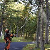 Makita Makita Akku-Hochentaster UA004GZ 40V, Élagueur Bleu/Noir