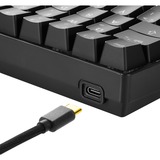 Sharkoon SGK50 S4 clavier USB QWERTY Espagnole Noir, clavier gaming Noir, Layout ES, Kailh Red, 60%, USB, QWERTY, LED RGB, Noir
