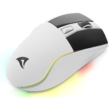 Sharkoon SKILLER SGM50W, Souris gaming Blanc