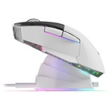 Sharkoon SKILLER SGM50W, Souris gaming Blanc