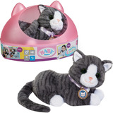 ZAPF Creation My Cat Cookie with Box, Accessoires de poupée BABY born My Cat Cookie with Box, Chien de poupée, 3 an(s), Batteries requises