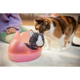 ZAPF Creation My Cat Cookie with Box, Accessoires de poupée BABY born My Cat Cookie with Box, Chien de poupée, 3 an(s), Batteries requises