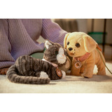 ZAPF Creation My Cat Cookie with Box, Accessoires de poupée BABY born My Cat Cookie with Box, Chien de poupée, 3 an(s), Batteries requises