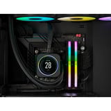 Corsair Kit 32 Go DDR5-6000 (2x16 Go), Mémoire vive Noir, CMH32GX5M2B6000C38, Vengeance RGB, XMP