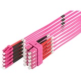 Digitus Câble de raccordement fibre optique, duplex, connecteur LC > SC, multimode OM4 Violet clair