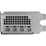 PNY NVIDIA RTX 2000 Ada Generation 16GB PB, Carte graphique 