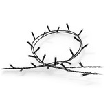 Philips Hue Hue White & Color Ambiance Festavia guirlande lumineuse 40m 