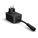 Philips Hue Hue White & Color Ambiance Festavia guirlande lumineuse 40m 