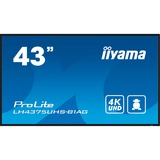 iiyama LE4341S-B2, Affichage public Noir brillant