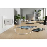 Ansmann Home Charger 230PD avec câble / 3 A / 30 W / 2 ports Blanc, 1x USB-C, 1x USB-A