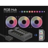 DeLOCK Concentrateur RGo pour LED RGo avec 10 ports, HUB Noir